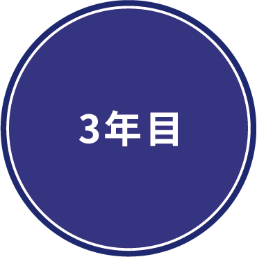3年目